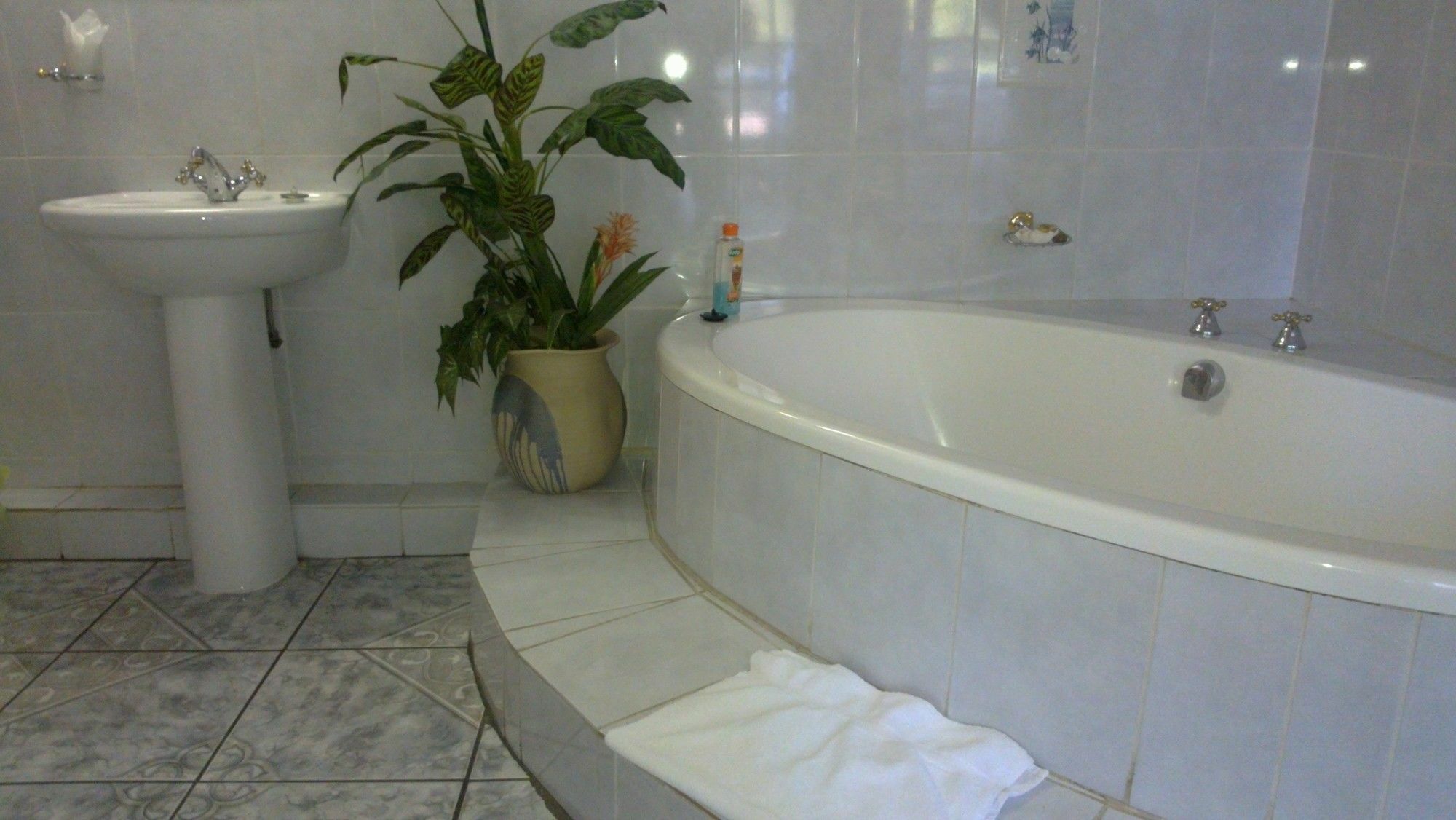 Harmony Guesthouse Νέλσπρουιτ Εξωτερικό φωτογραφία