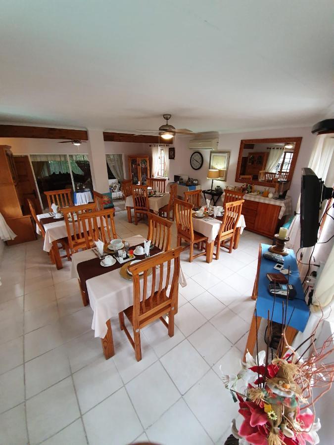 Harmony Guesthouse Νέλσπρουιτ Εξωτερικό φωτογραφία